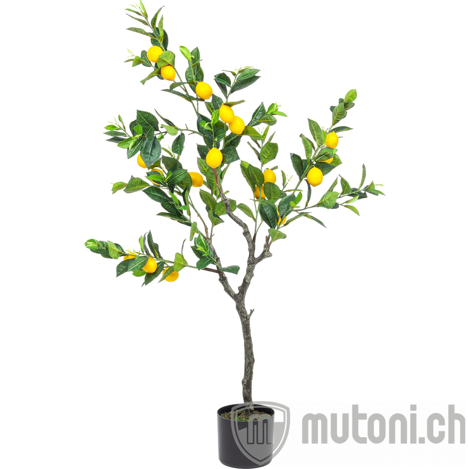 Deko-Zitronenbaum Höhe 120 | Gartenpflanzen | Garten | mutoni möbel